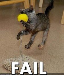 A cat gets smacked in the face with a tennis ball on a spring